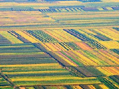 （安徽）中共宿州市委 宿州市人民政府关于建设创新型农业现代化先行区的实施意见